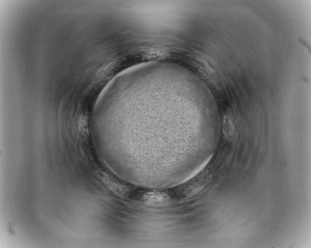 X0000097790714200803211821