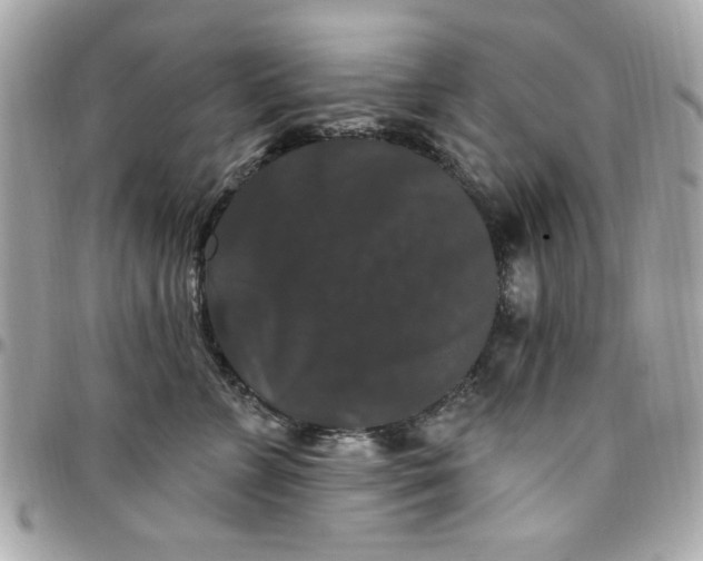 X0000097790715200803211821