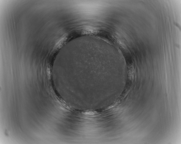 X0000097790716200803211821