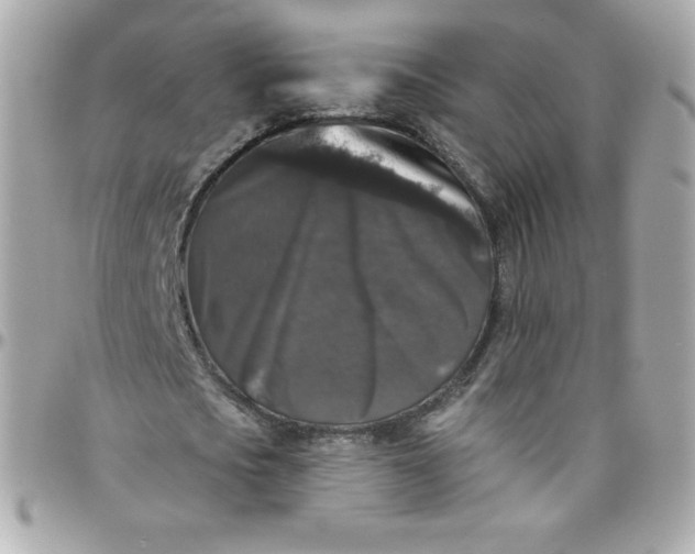 X0000097790721200803211820