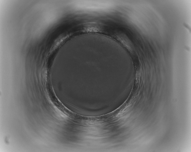 X0000097790722200803211820