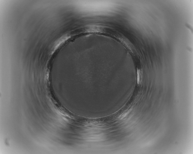X0000097790723200803211820