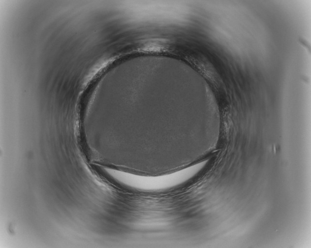 X0000097790728200803211820