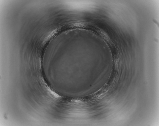X0000097790729200803211820