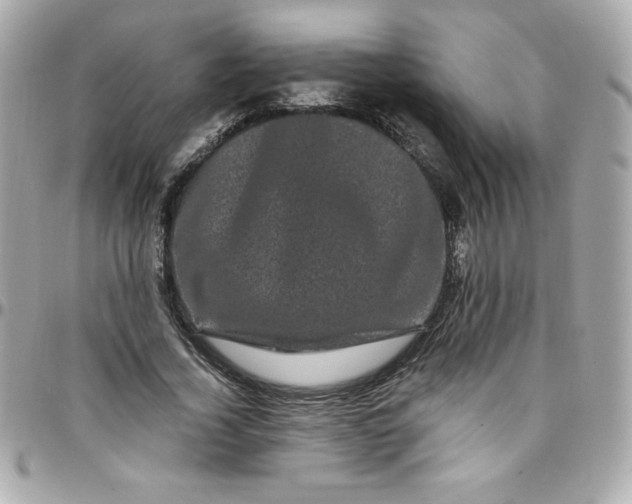 X0000097790732200803211820