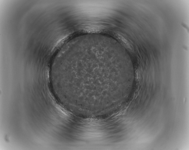 X0000097790733200803211820