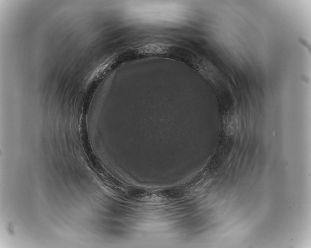 X0000097790735200803211820