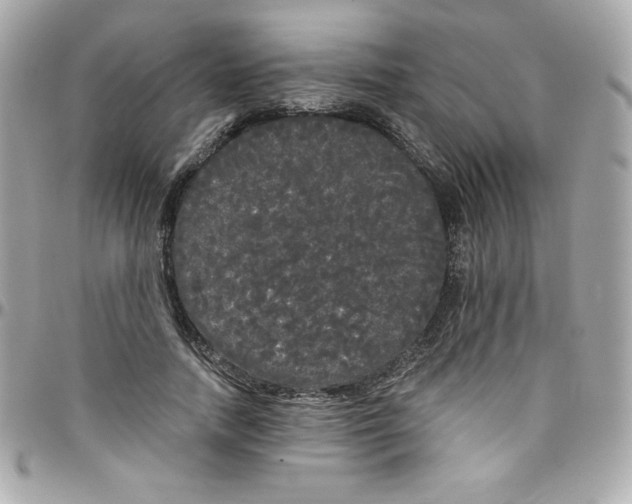 X0000097790738200803211820