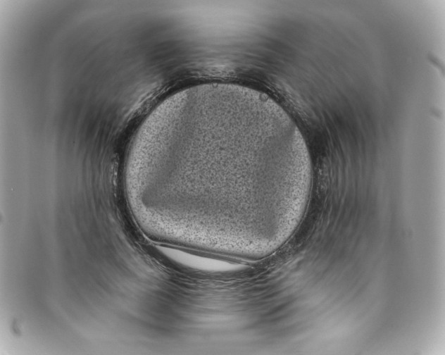 X0000097790739200803211820