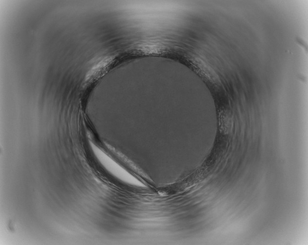 X0000097790740200803211820