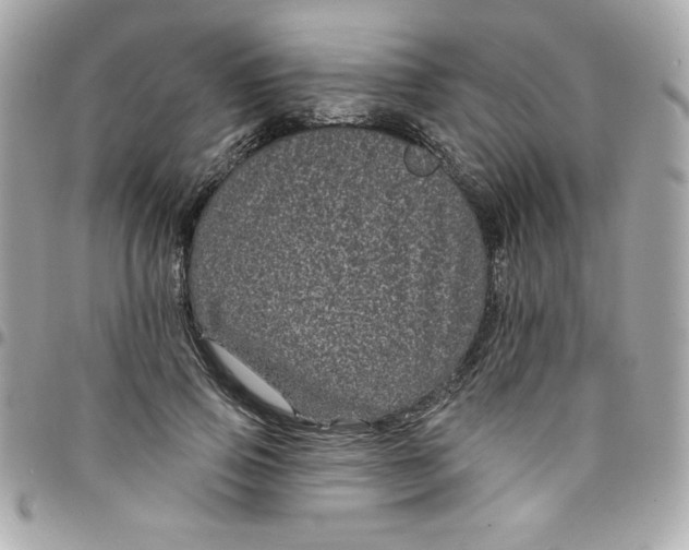 X0000097790741200803211820