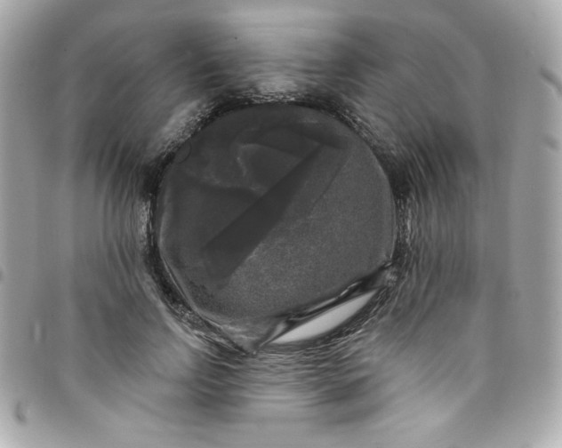 X0000097790742200803211820