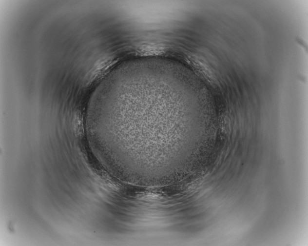 X0000097790743200803211821