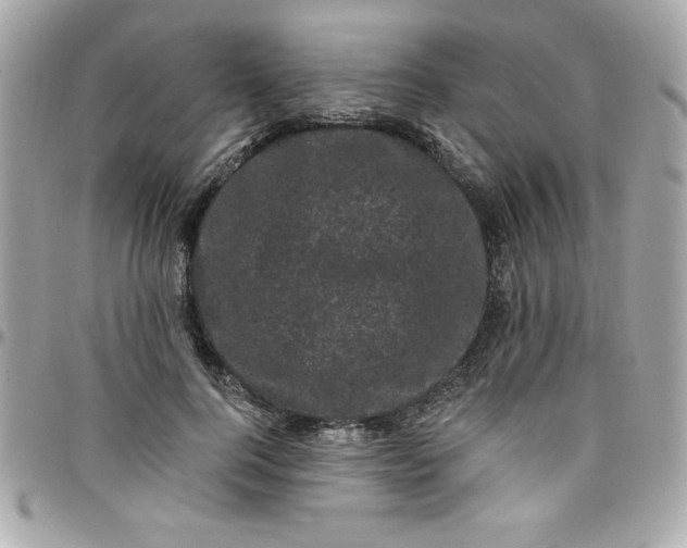 X0000097790744200803211821