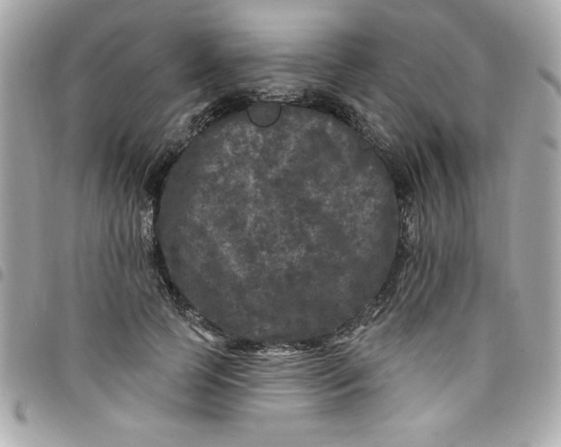 X0000097790745200803211821