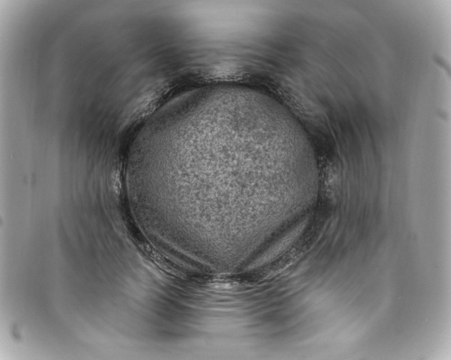 X0000097790746200803211821