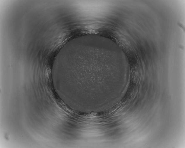 X0000097790747200803211821