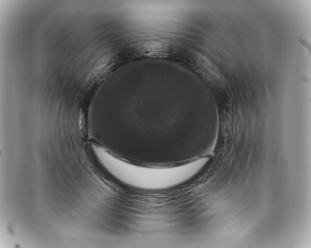 X0000097790748200803211821