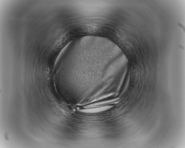 X0000097790750200803211821