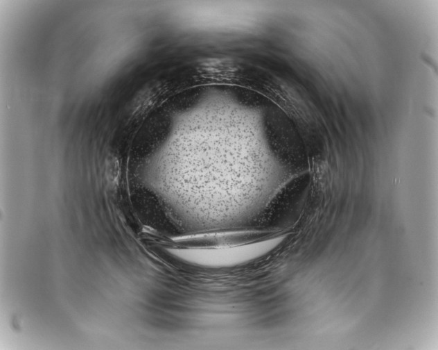 X0000097790752200803211821