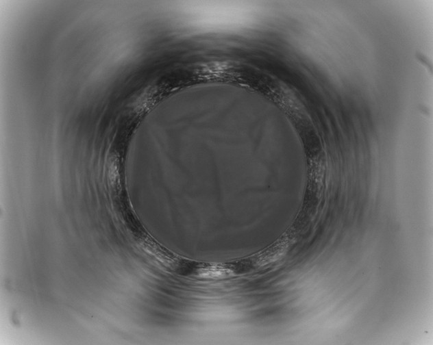 X0000097790754200803211821