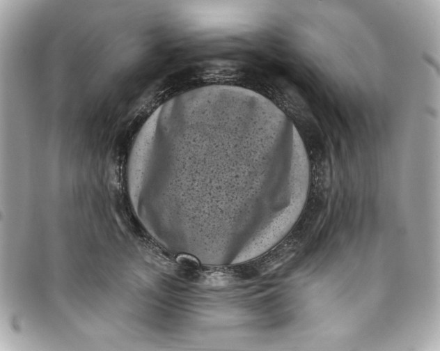 X0000097790755200803211821