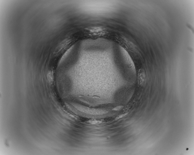 X0000097790756200803211821