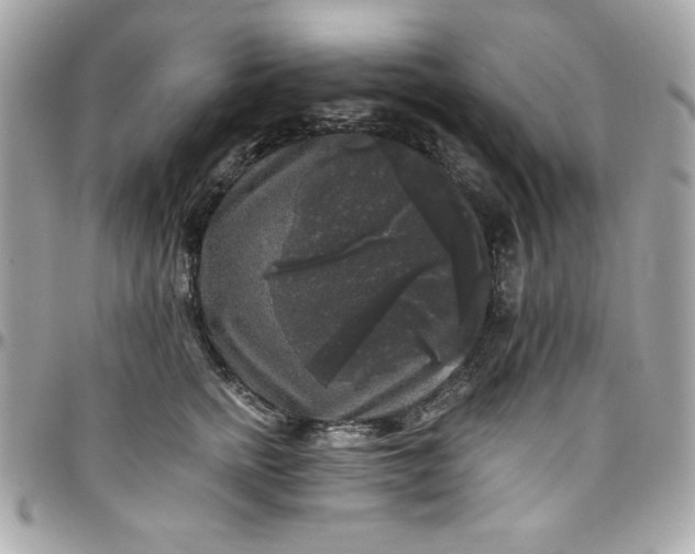 X0000097790758200803211821