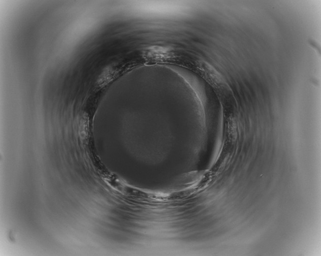 X0000097790760200803211821