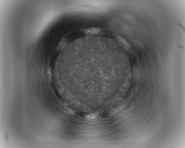 X0000097790761200803211821