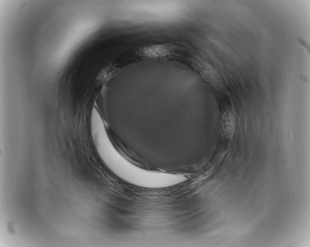 X0000097790762200803211821