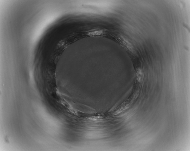 X0000097790763200803211821