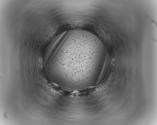 X0000097790772200803211820