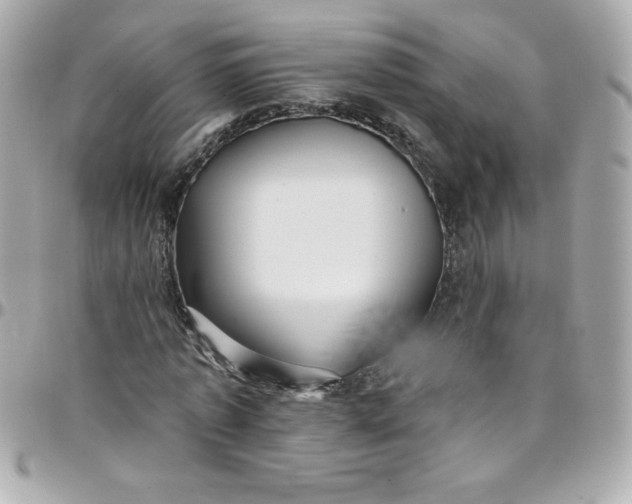 X0000097790773200803211820