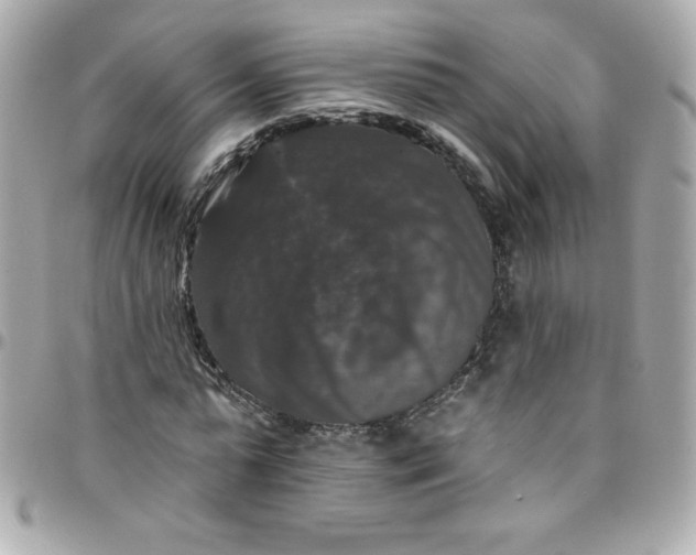 X0000097790775200803211820