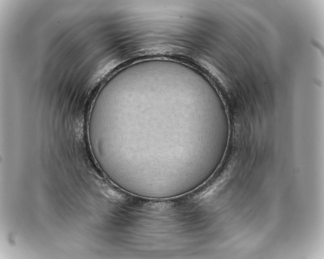 X0000097790778200803211820