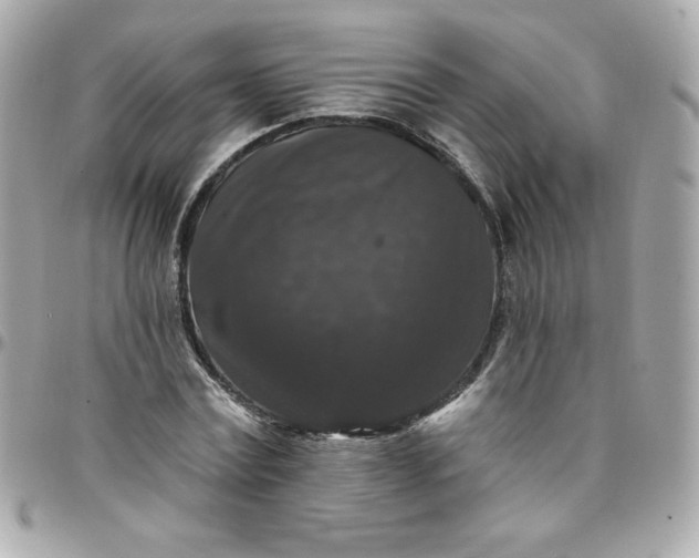 X0000097790779200803211820