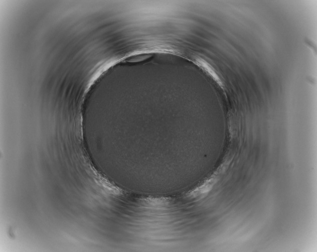 X0000097790781200803211820
