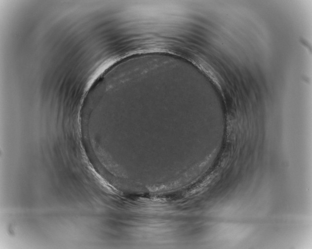X0000097790789200803211820