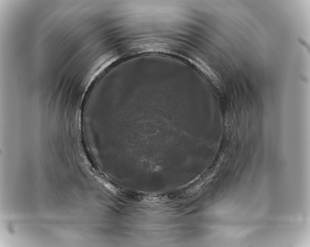 X0000097790790200803211820