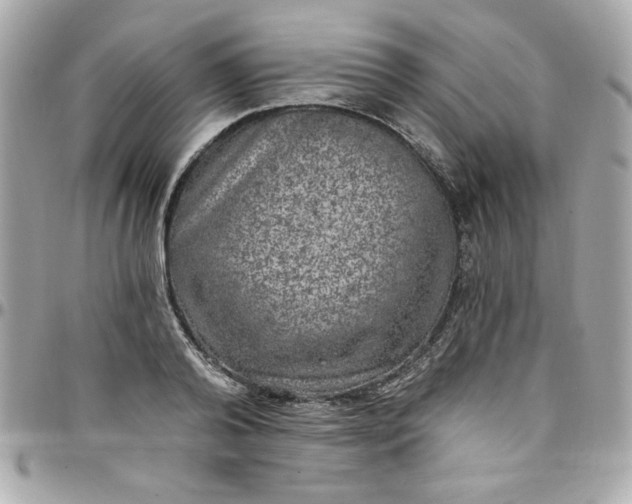 X0000097790792200803211820