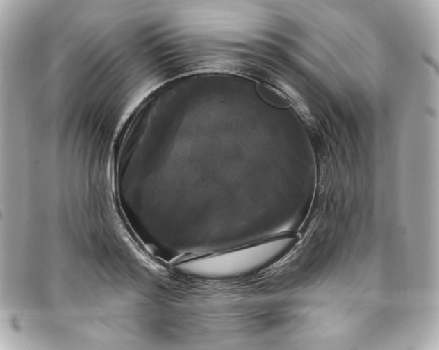 X0000097790796200803211820