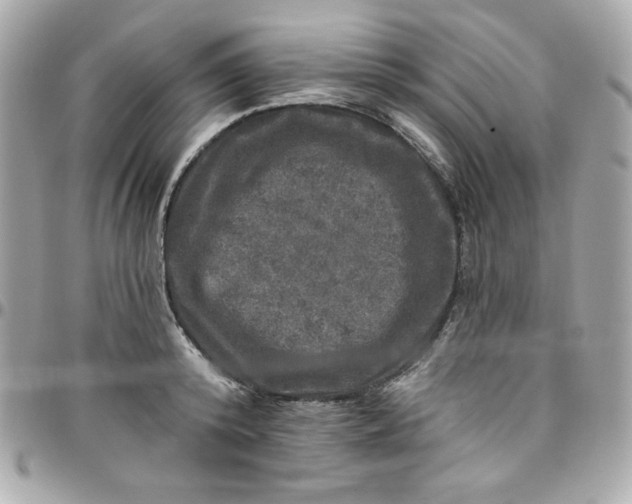 X0000097790800200803211820