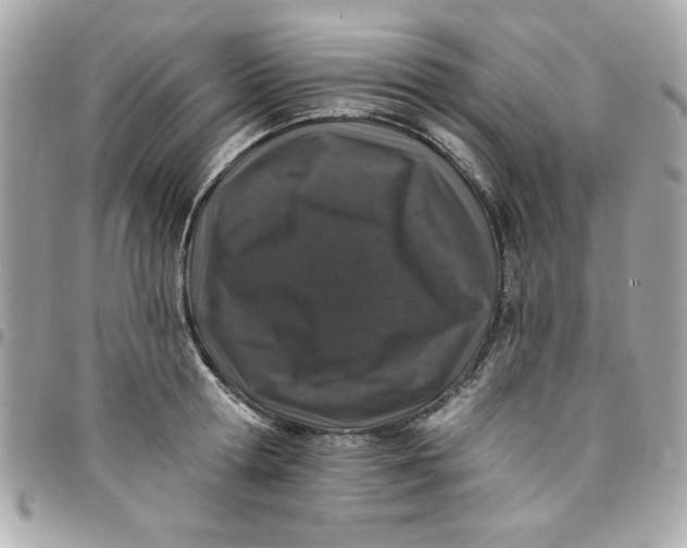 X0000097790802200803211820