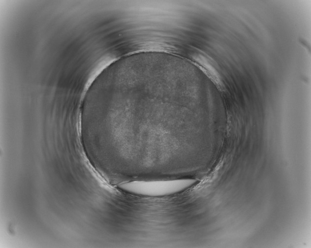 X0000097790804200803211820