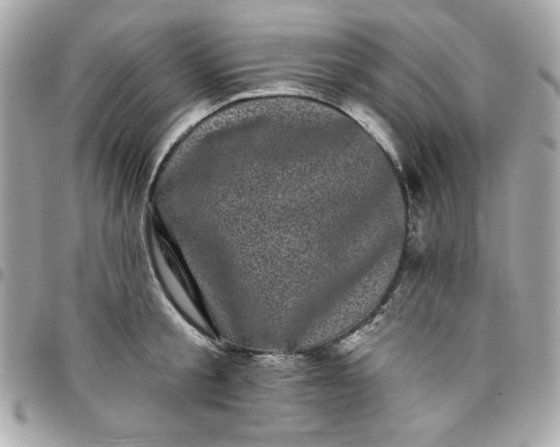 X0000097790805200803211820