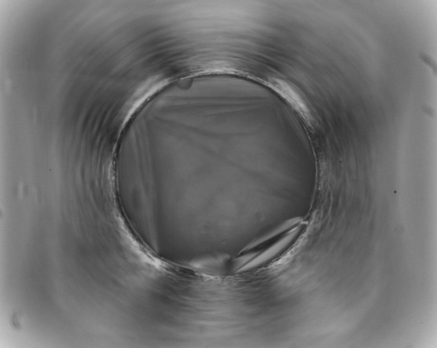 X0000097790806200803211820