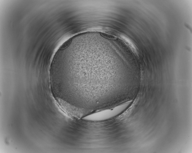 X0000097790808200803211820