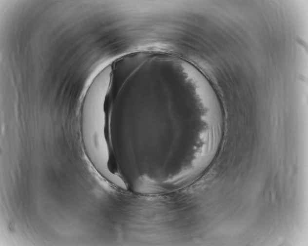X0000097790816200803211820
