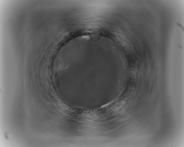 X0000097790817200803211819
